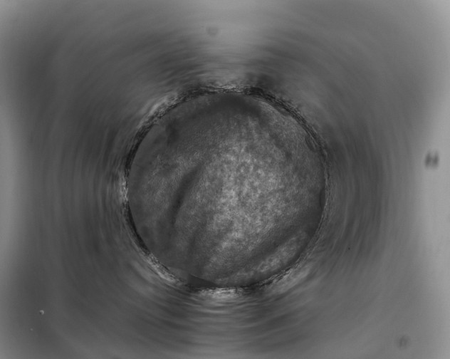 X0000098000384200804071224