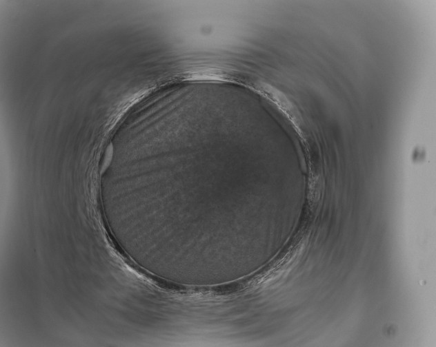 X0000098000385200804071224