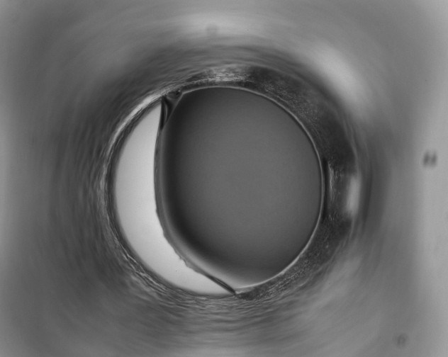 X0000098000387200804071224