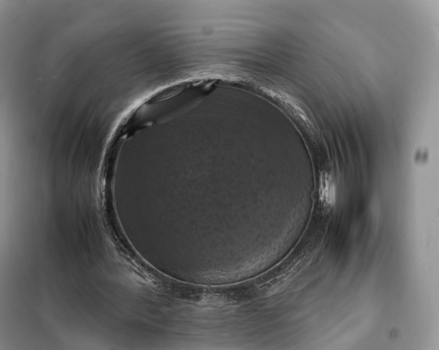 X0000098000388200804071224