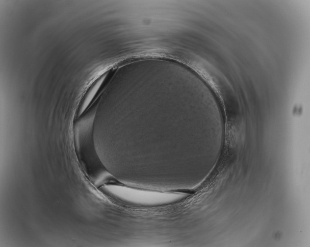 X0000098000389200804071224