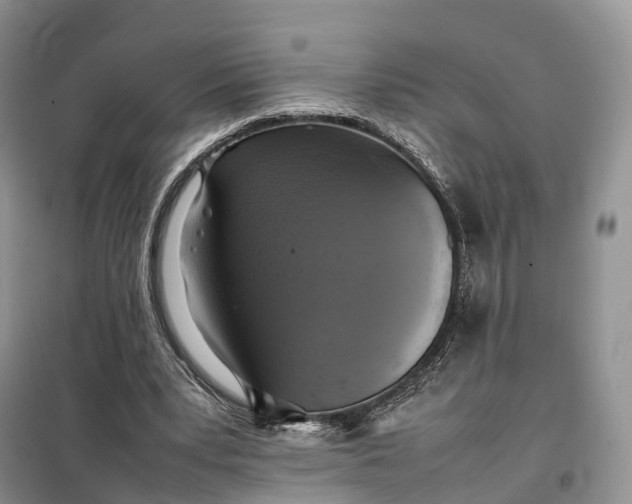 X0000098000391200804071224