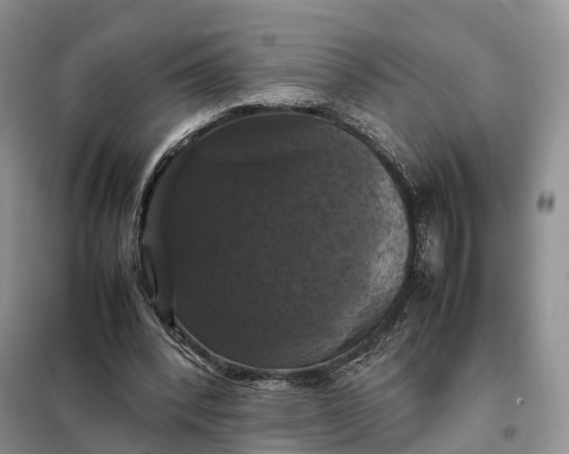 X0000098000392200804071224