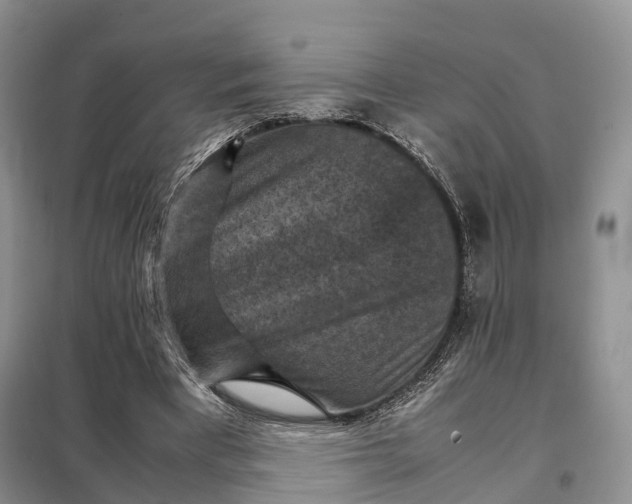 X0000098000393200804071224