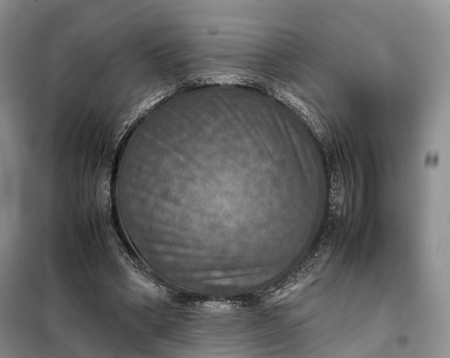 X0000098000394200804071224