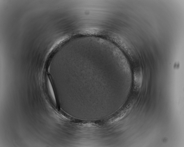 X0000098000396200804071224