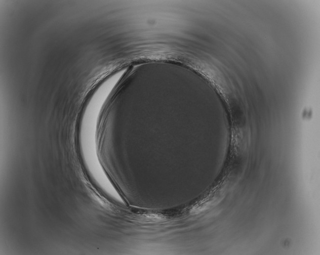 X0000098000397200804071223