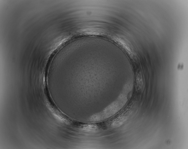 X0000098000398200804071223