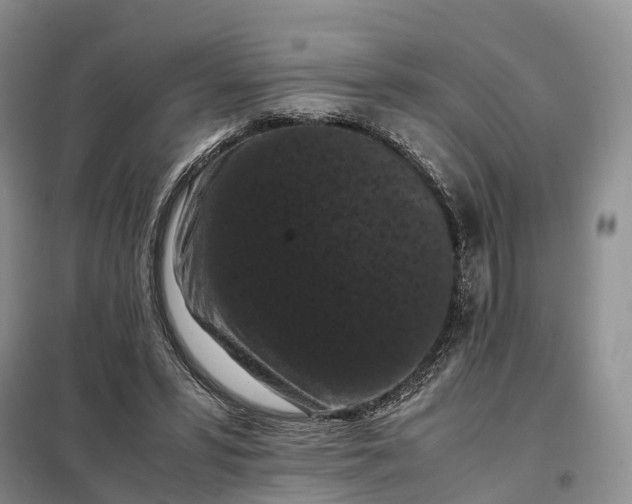 X0000098000399200804071223