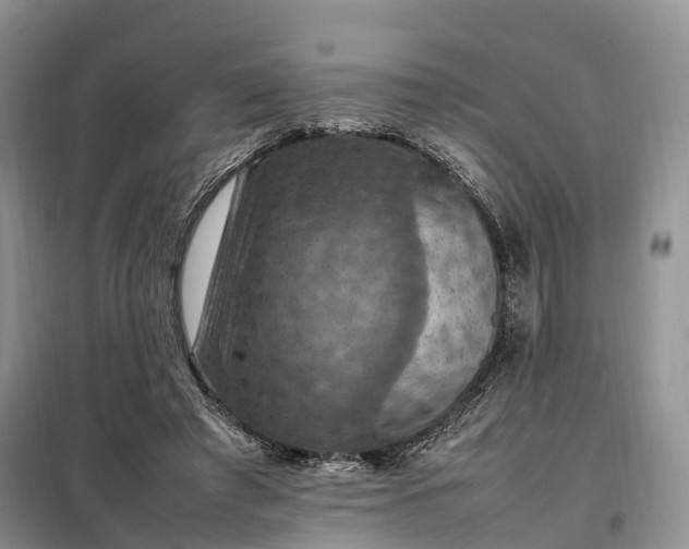 X0000098000401200804071223