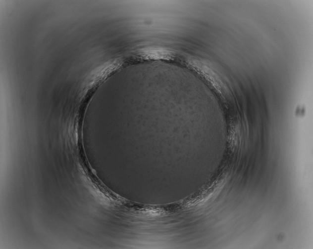 X0000098000402200804071223