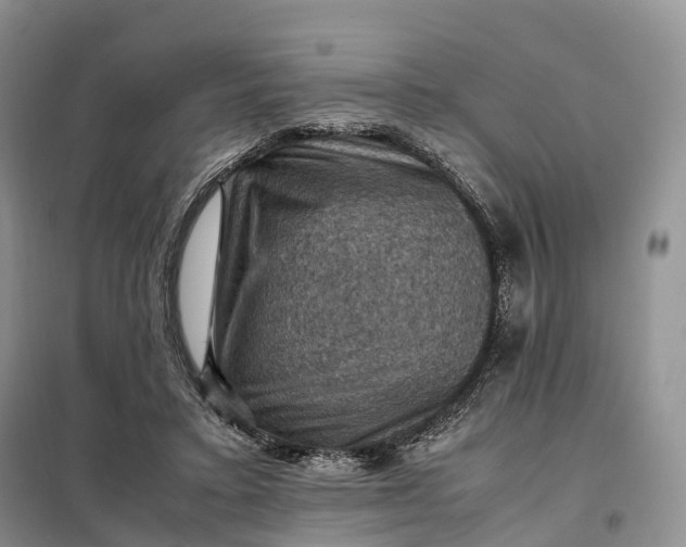 X0000098000403200804071223