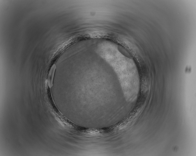 X0000098000405200804071223