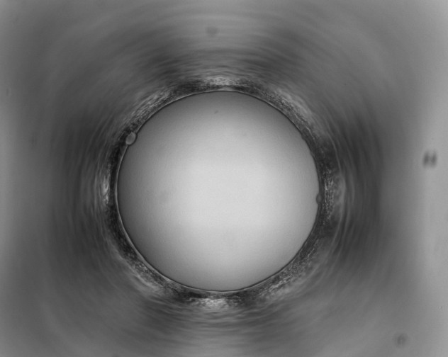 X0000098000406200804071223