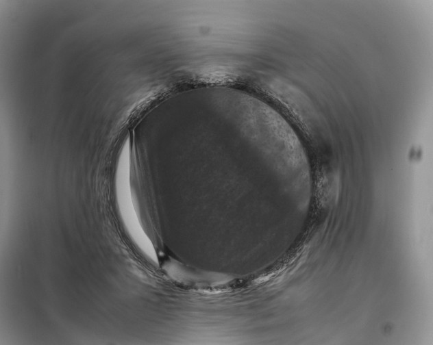 X0000098000407200804071223