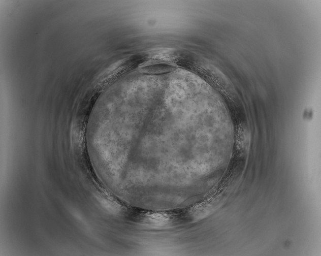 X0000098000409200804071223