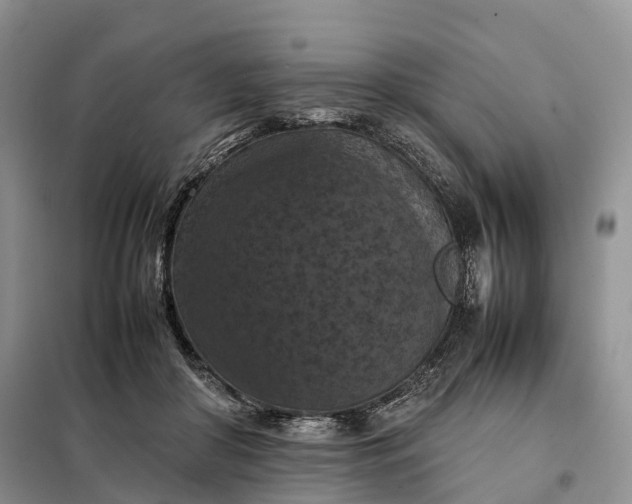 X0000098000410200804071223