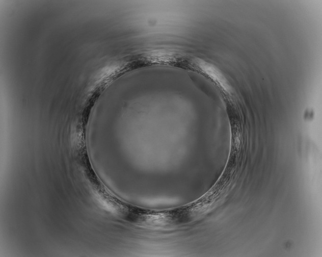 X0000098000411200804071223