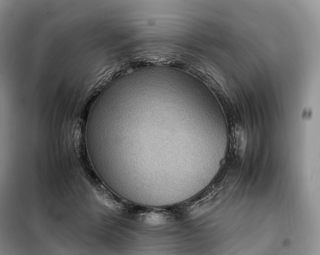 X0000098000412200804071223