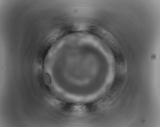 X0000098000415200804071223