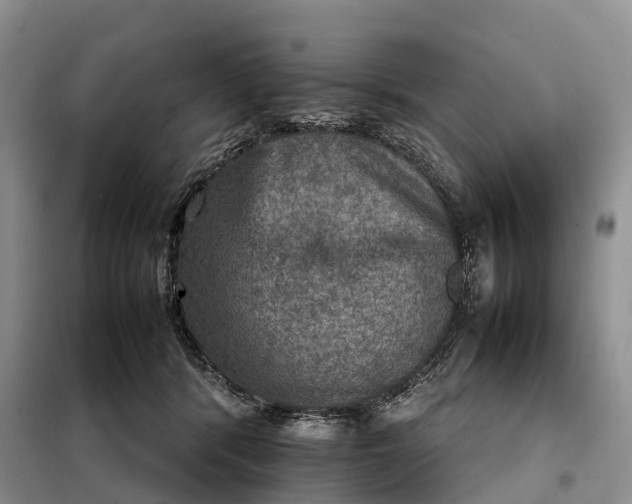 X0000098000416200804071223
