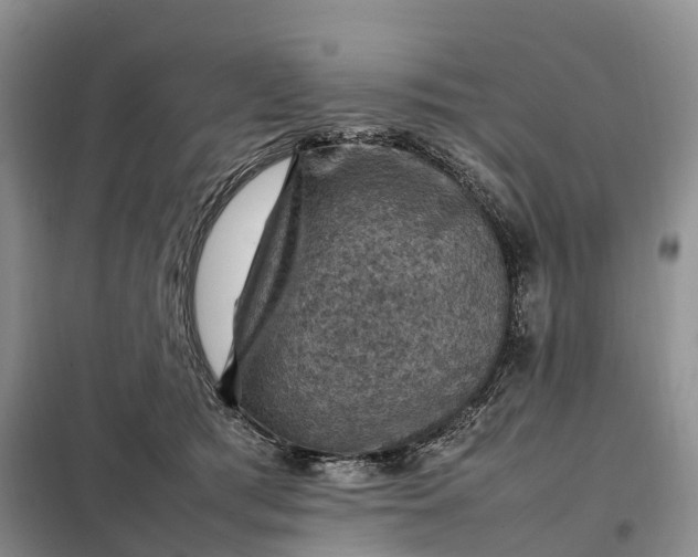 X0000098000417200804071223