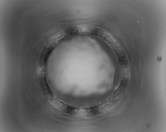 X0000098000419200804071223