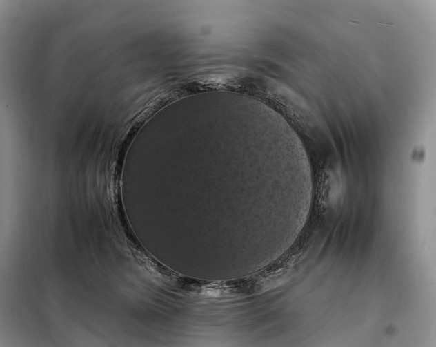 X0000098000420200804071223
