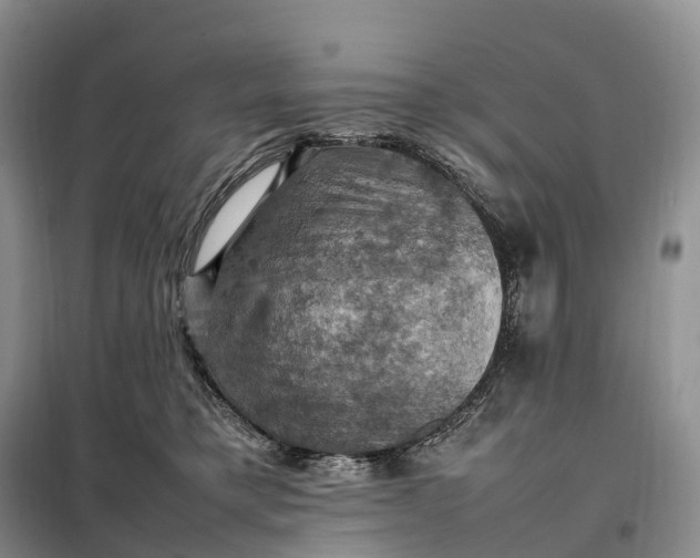 X0000098000421200804071223