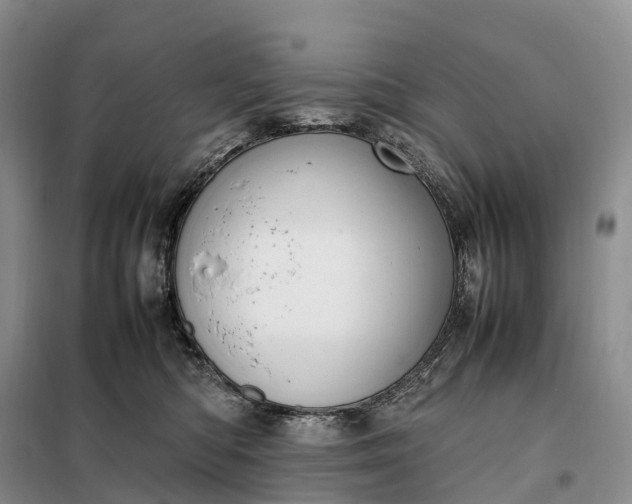X0000098000422200804071223