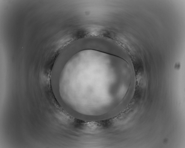 X0000098000423200804071223