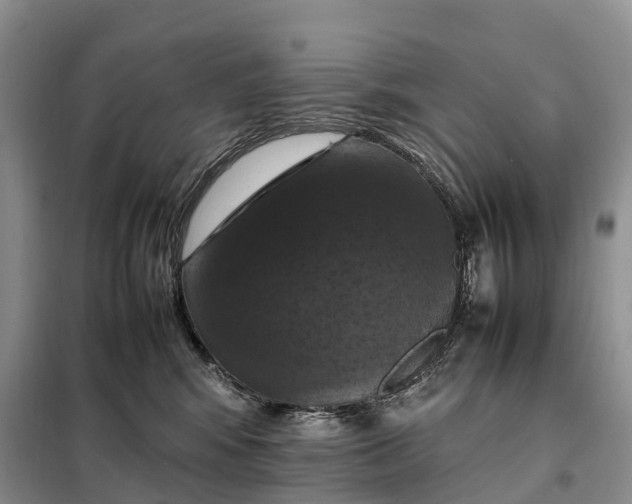 X0000098000424200804071223