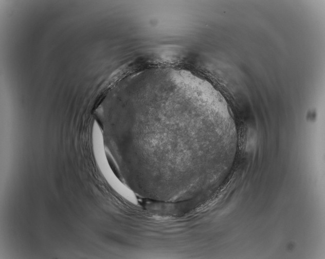 X0000098000425200804071223