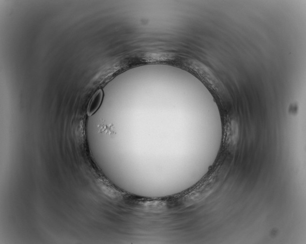 X0000098000426200804071223