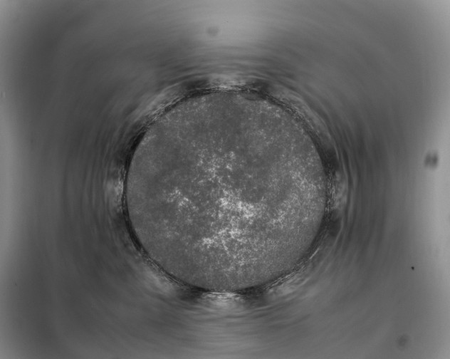 X0000098000427200804071223