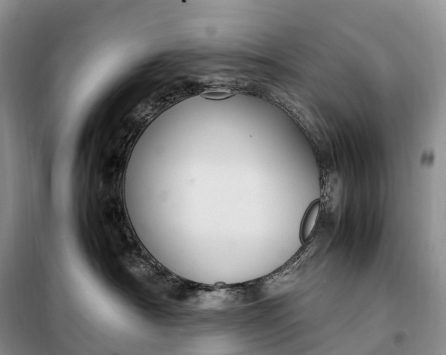 X0000098000430200804071223