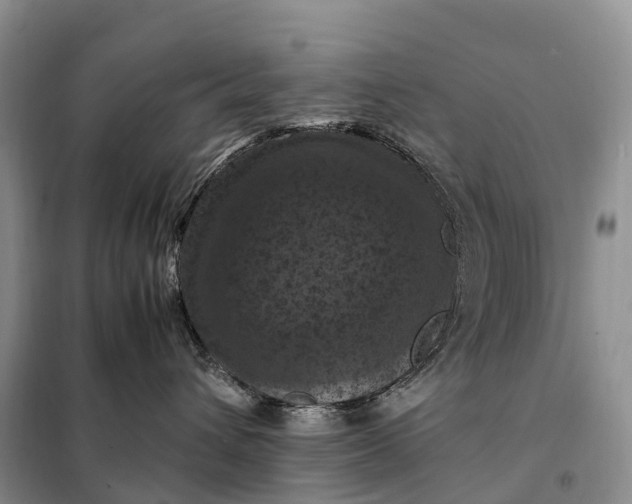 X0000098000432200804071223