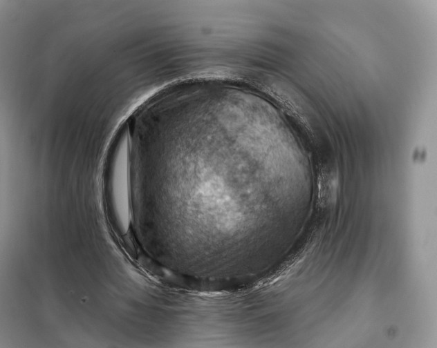 X0000098000436200804071222
