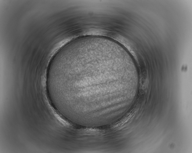 X0000098000437200804071222