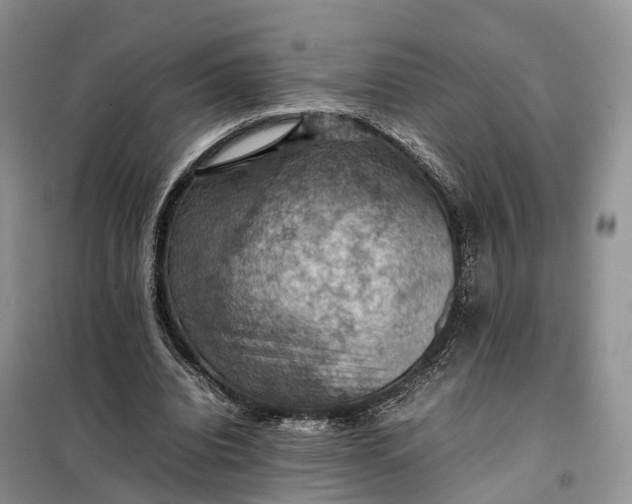 X0000098000440200804071222