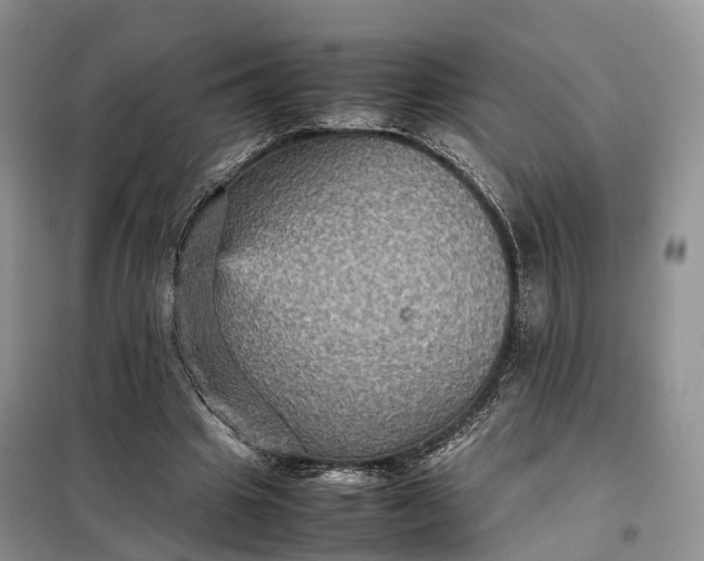 X0000098000441200804071222