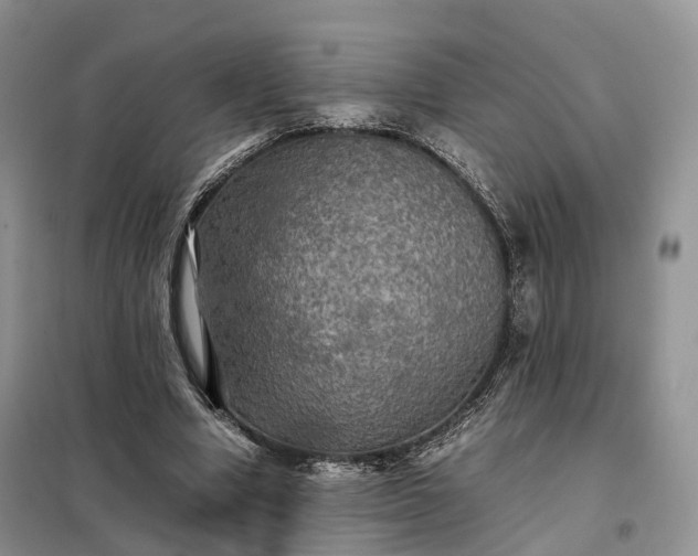 X0000098000442200804071222