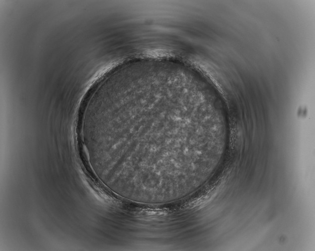 X0000098000443200804071222