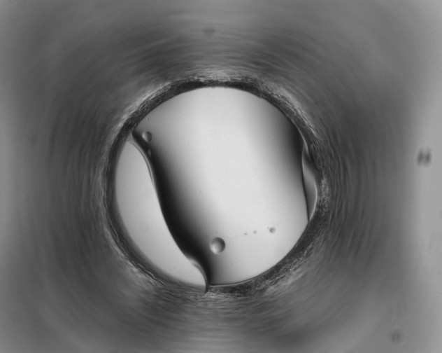 X0000098000444200804071222
