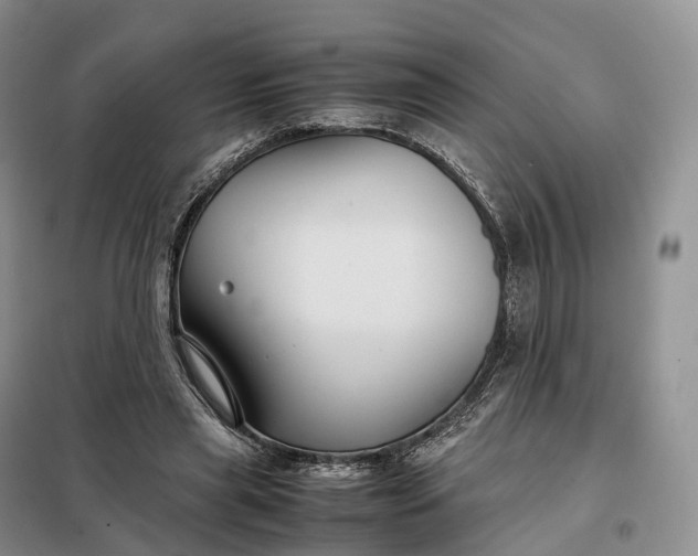 X0000098000445200804071222