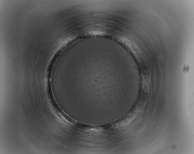 X0000098000447200804071222