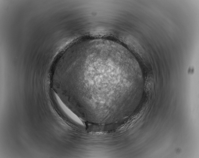 X0000098000448200804071222