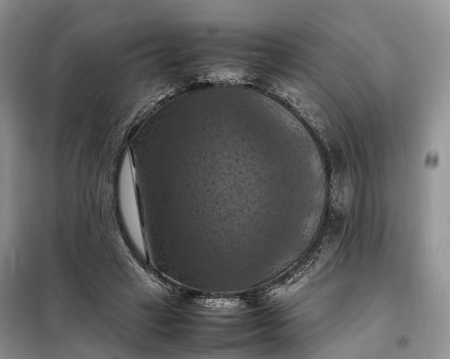 X0000098000449200804071222