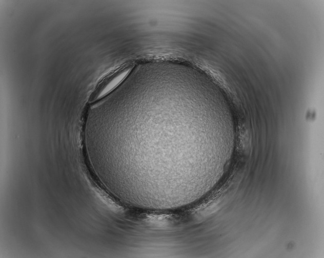 X0000098000450200804071222
