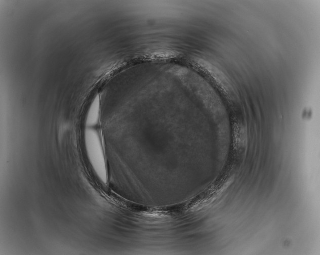 X0000098000451200804071222